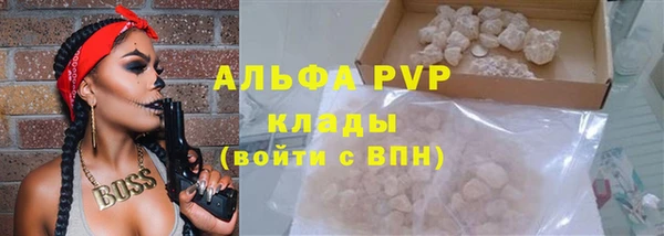 стаф Инсар